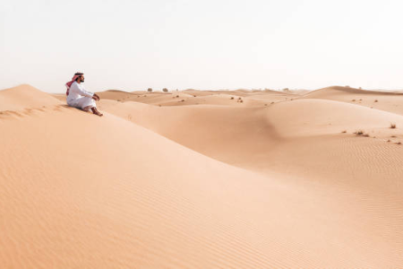 Desert Buggy Tour